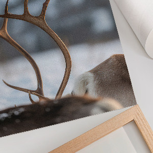 Poster Kunstdruck mit Winterrentier-Motiv