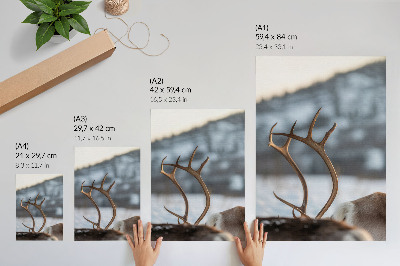 Poster kunstdruck Winterrentier