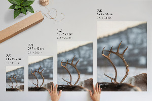 Poster Kunstdruck mit Winterrentier-Motiv