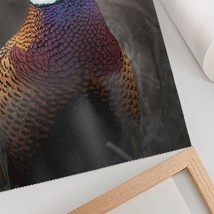 Poster-Kunstdruck mit farbenfrohem Fasan