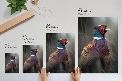 Poster kunstdruck Farbenfroher Fasan
