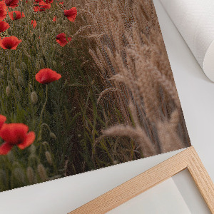 Kunstdruck auf Leinwand mit Motiv Mohn und Getreide