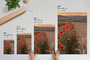 Kunstdruck auf Leinwand mit Motiv Mohn und Getreide