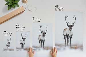 Poster auf Leinwand mit Winterrentier