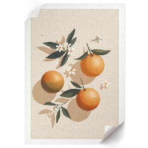 Wandposter mit Illustration von Orangen