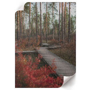 Bilderposter mit Motiv eines Waldwegs