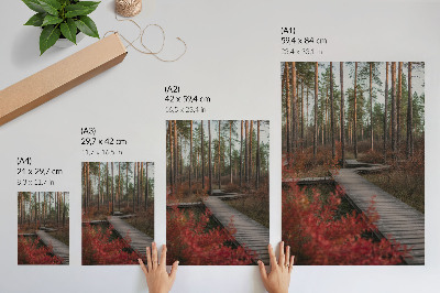 Bilder poster Waldweg