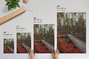 Bilderposter mit Motiv eines Waldwegs
