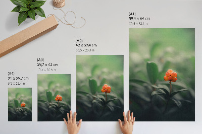Wand poster Orangenbeeren