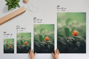 Wandposter mit Motiv Orangenbeeren