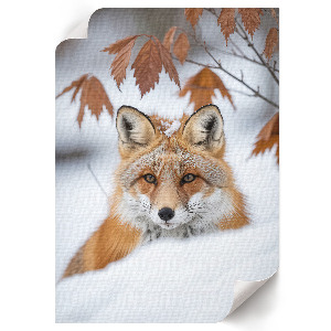 Wand poster Winterfuchs