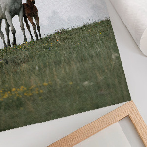 Kunstdruck Poster mit Pferden auf der Wiese