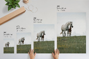 Kunstdruck Poster mit Pferden auf der Wiese