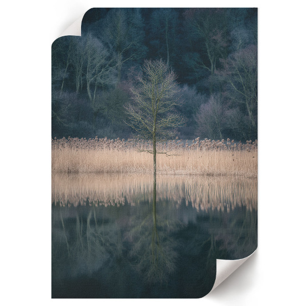 Wandposter mit einer friedlichen Landschaft