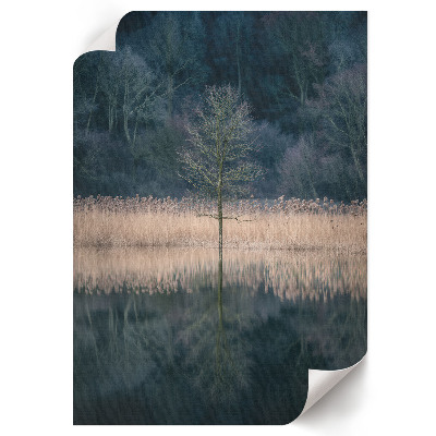 Wand poster Eine friedliche Landschaft