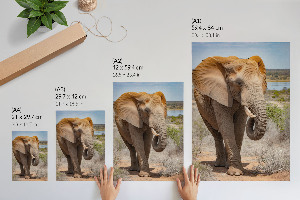 Kunstdruck-Poster mit Motiv 'Elefantengang'