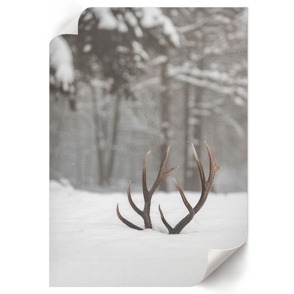 Kunstdruck poster Geweihe im Schnee
