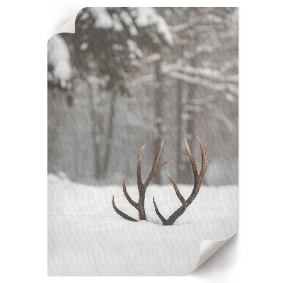 Kunstdruck poster Geweihe im Schnee