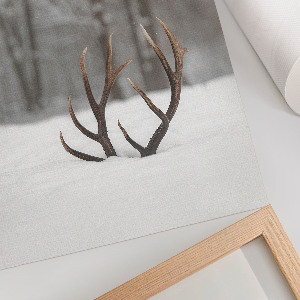 Kunstdruck poster Geweihe im Schnee