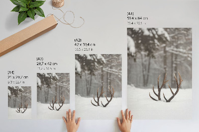 Kunstdruck poster Geweihe im Schnee