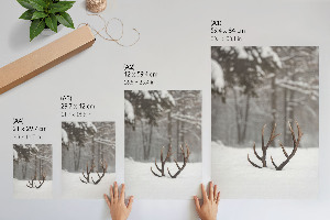 Kunstdruck poster Geweihe im Schnee
