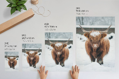 Wand poster Wintertier