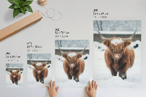 Wand poster Wintertier
