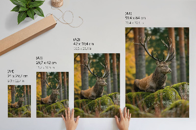 Poster kunstdruck Ein stattlicher Hirsch