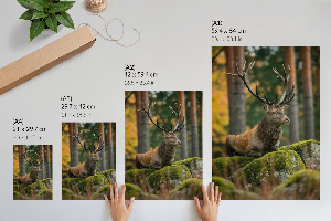Poster Kunstdruck „Ein stattlicher Hirsch“
