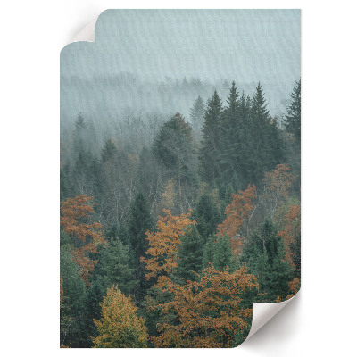 Retro poster Nebelwald