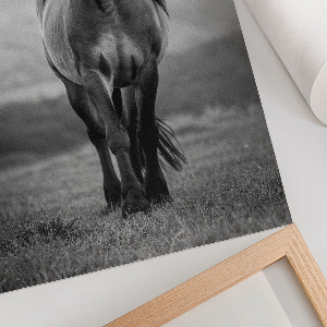 Wandposter „Ein stattliches Pferd“