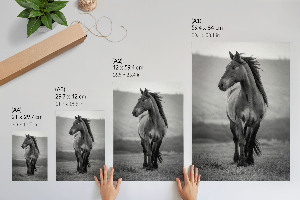 Wandposter „Ein stattliches Pferd“