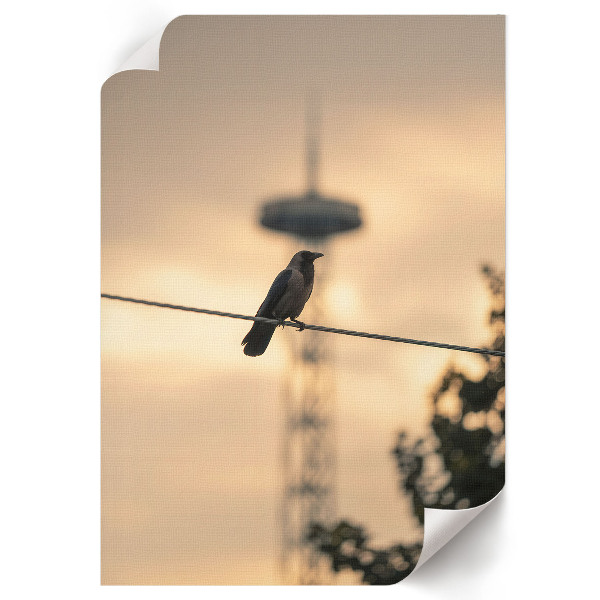 Kunstdruck-Poster „Vogel am Kabel“