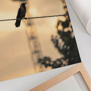 Kunstdruck-Poster „Vogel am Kabel“