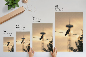 Kunstdruck-Poster „Vogel am Kabel“