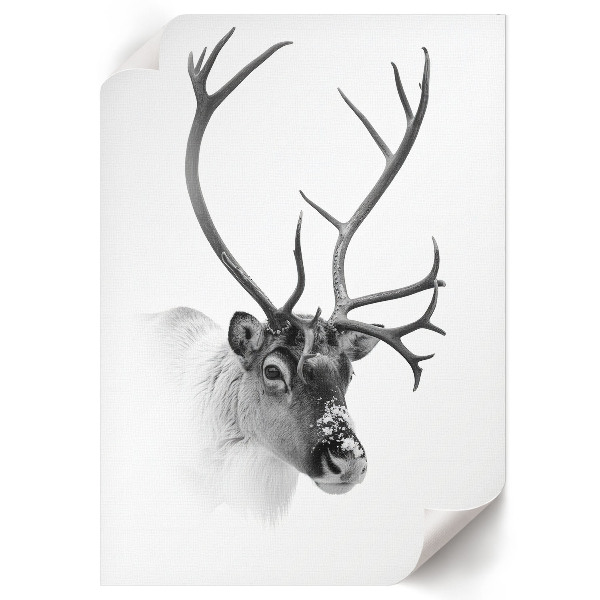 Bilderposter mit Winterrentier-Motiv