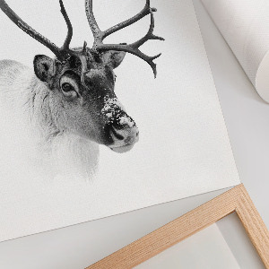 Bilderposter mit Winterrentier-Motiv
