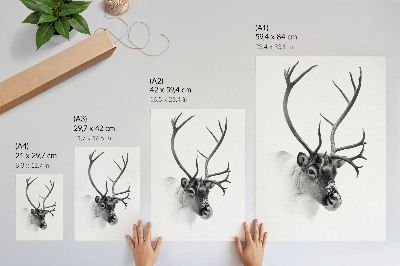 Bilder poster Winterrentier