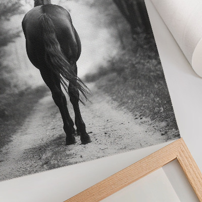 Kunstdruck leinwand Ein Pferd im Wald
