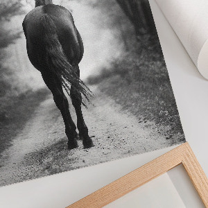 Kunstdruck auf Leinwand mit dem Motiv „Ein Pferd im Wald”