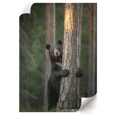Kunstdruck poster Naturschönheit