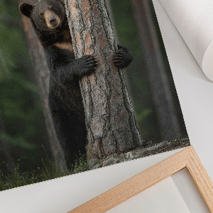 Kunstdruck poster Naturschönheit