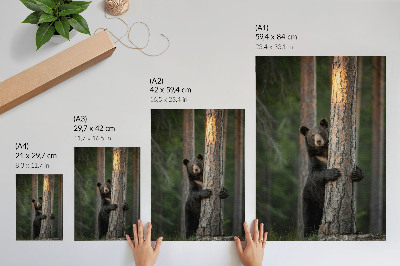 Kunstdruck poster Naturschönheit