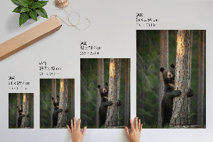 Kunstdruck poster Naturschönheit