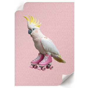 Poster leinwand Ein Papagei auf Rollschuhen
