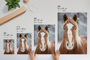 Wand poster Pferd im Winter