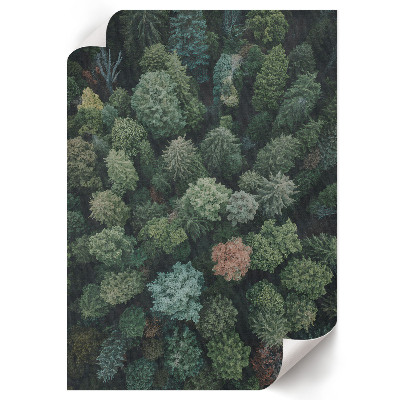 Bilder poster Wald von oben