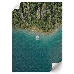 Plagát do izby Lesný raj