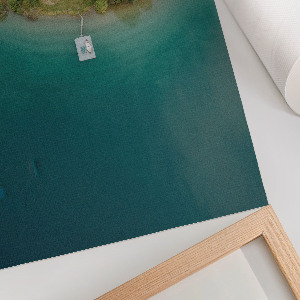 Plagát do izby Lesný raj