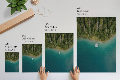 Wand poster Waldparadies
